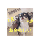 べこ（個別スタンプ：4）