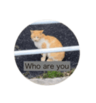 Cat.Corp（個別スタンプ：7）