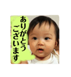 サクラのスタンプ2（個別スタンプ：5）