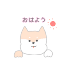 使いやすいもちもち動物（個別スタンプ：1）