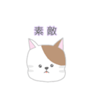 使いやすいもちもち動物（個別スタンプ：6）