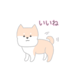 使いやすいもちもち動物（個別スタンプ：9）