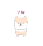 使いやすいもちもち動物（個別スタンプ：13）