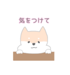使いやすいもちもち動物（個別スタンプ：21）