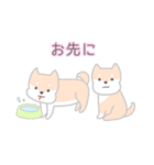 使いやすいもちもち動物（個別スタンプ：33）