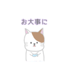 使いやすいもちもち動物（個別スタンプ：38）