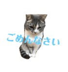 ジョイくんスタンプ（個別スタンプ：2）