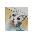 ジョイくんスタンプ（個別スタンプ：7）