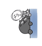 吹き出しのめがねにゃんこ（個別スタンプ：19）