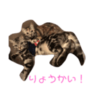 らばらばらばーず（個別スタンプ：3）