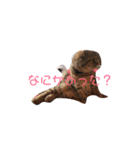 らばらばらばーず（個別スタンプ：4）