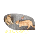 らばらばらばーず（個別スタンプ：8）