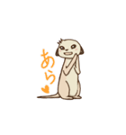 ミーアキャっぽん（個別スタンプ：2）