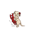 ミーアキャっぽん（個別スタンプ：10）