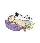 ミーアキャっぽん（個別スタンプ：12）