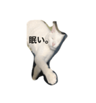 ぎんの日常である（個別スタンプ：1）