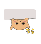 トイプードルのモコちゃんスタンプ（個別スタンプ：5）