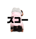 柴家の三姉妹④（個別スタンプ：8）