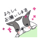 ぶるりん（個別スタンプ：1）