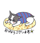 ぶるりん（個別スタンプ：13）