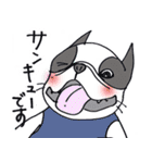 ぶるりん（個別スタンプ：30）