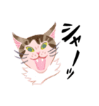 猫さんと猫ちゃん（個別スタンプ：8）