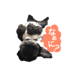 シュナウザーのしゅーちゃん♡（個別スタンプ：4）