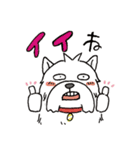 ウェスティ・日常で使える虚無顔編（個別スタンプ：1）