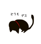 黒猫 日常会話（個別スタンプ：38）