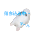 愉快な5匹 第2弾（個別スタンプ：3）