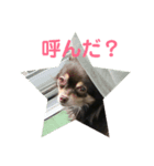 モート（個別スタンプ：3）