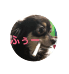 モート（個別スタンプ：5）