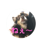 モート（個別スタンプ：7）