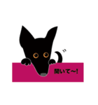 まっ黒わんこのララ-2（個別スタンプ：5）