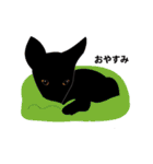まっ黒わんこのララ-2（個別スタンプ：15）