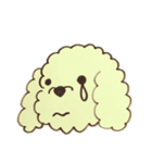 楽しい老夫婦の愛犬モッピーくん（個別スタンプ：12）
