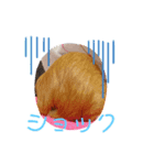 もる氏すたんぷ（個別スタンプ：3）