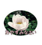 陽子の好きな花（個別スタンプ：2）