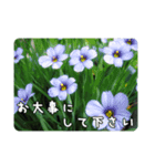 陽子の好きな花（個別スタンプ：5）