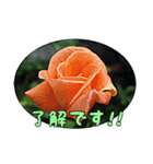陽子の好きな花（個別スタンプ：7）