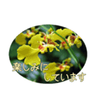 陽子の好きな花（個別スタンプ：8）