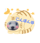 ぐぅ〜たらトラの日常②（個別スタンプ：3）