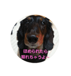 一言コメント～（個別スタンプ：7）