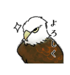 鳥の手書き風スタンプ（個別スタンプ：4）