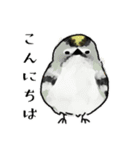 鳥の手書き風スタンプ（個別スタンプ：12）
