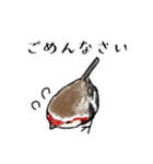 鳥の手書き風スタンプ（個別スタンプ：13）