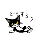 やんちゃ猫会話（個別スタンプ：2）