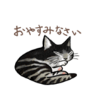 やんちゃ猫会話（個別スタンプ：3）