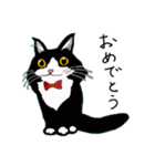 やんちゃ猫会話（個別スタンプ：6）