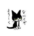 やんちゃ猫会話（個別スタンプ：8）